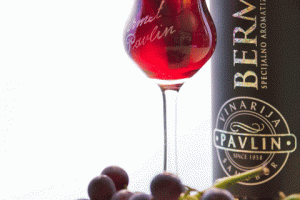 SEDAM-SEDAM (Small) SEDAM-SEDAM (Small)