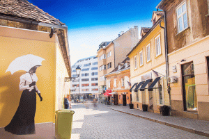 _MG_0003fg _MG_0003fg