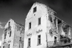 DNG-FOTOGRAFIJE-_63 DNG-FOTOGRAFIJE-_63